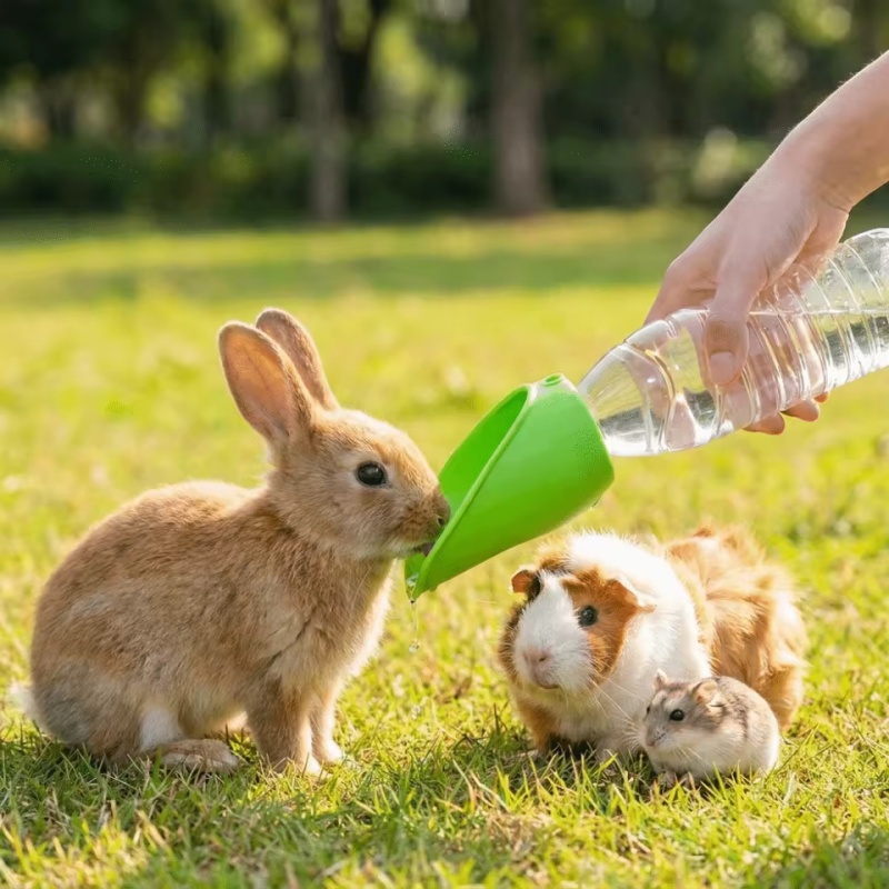 Dog cat Travel Water Bottle  P - đánh giá và giá Water Bag Collapsible